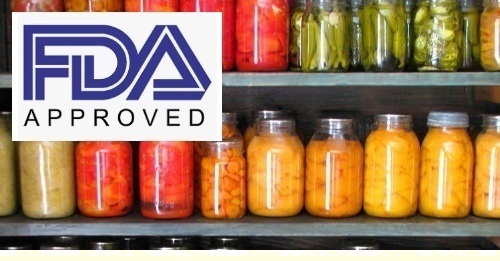 FDA Approved Seals and Gaskets